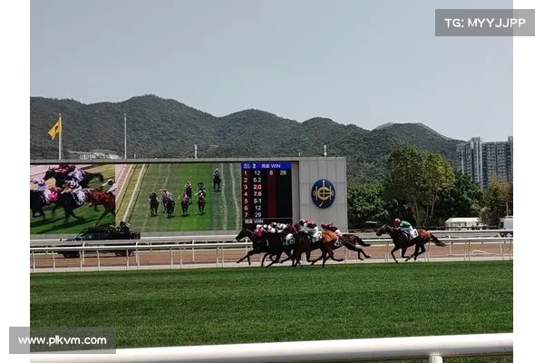 香港赛马打吡大赛创6.1万人入场新高 香港赛马打吡大赛创6.1万人入场新高