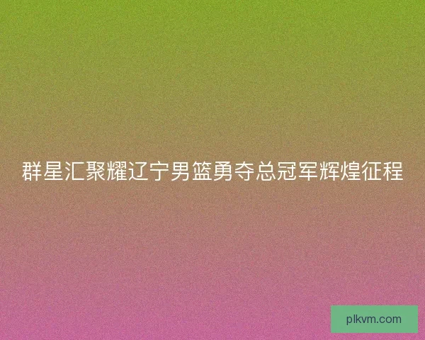 群星汇聚耀辽宁男篮勇夺总冠军辉煌征程